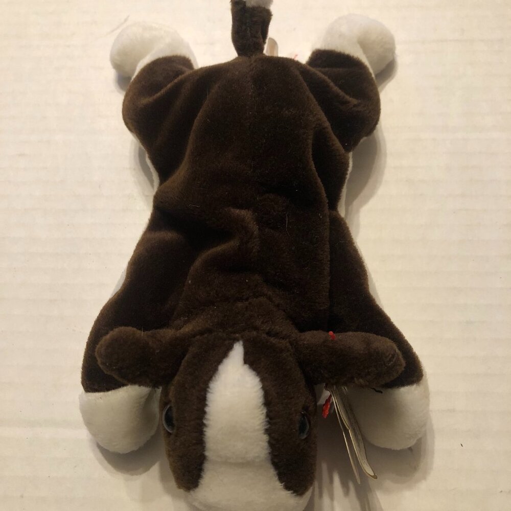 Ty new beanie baby Bruno the Bull Terrier dog 1997 with true errors - Picture 7 of 16